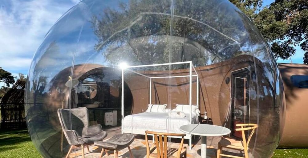Panoramic Room, 1 Queen Bed photo 3
