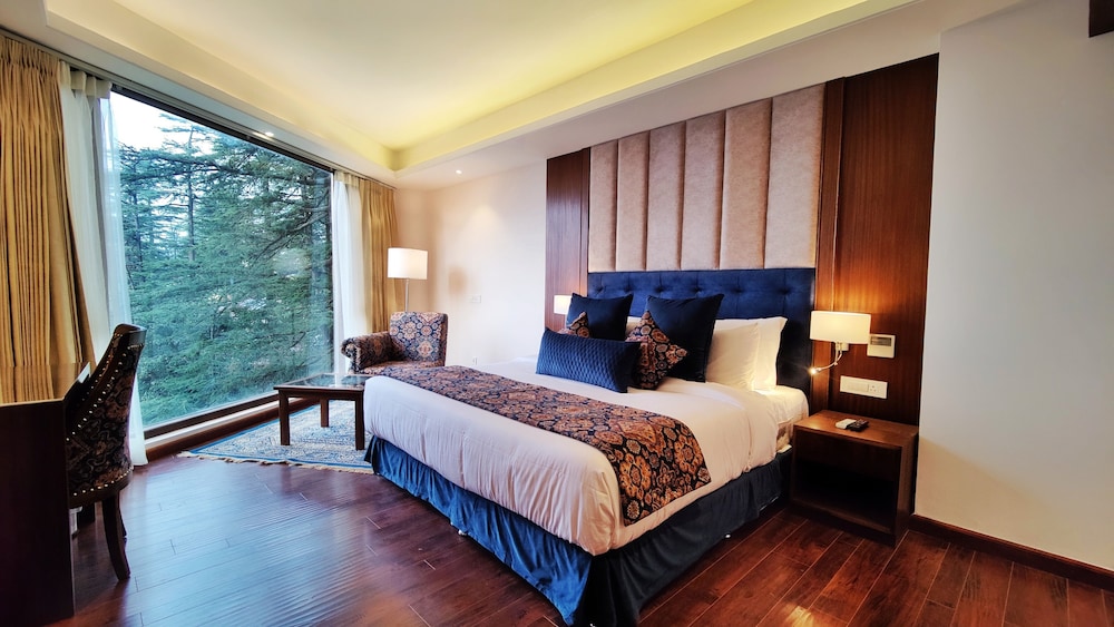 Executive Studio Suite - Photo 13