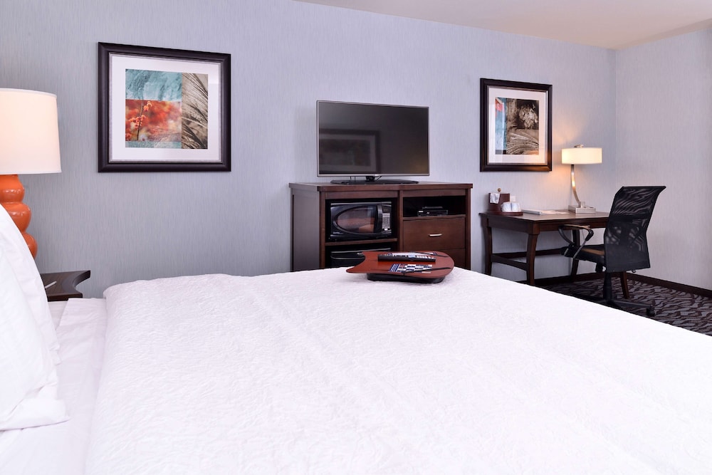 Room, 1 King Bed, Accessible - Photo 3