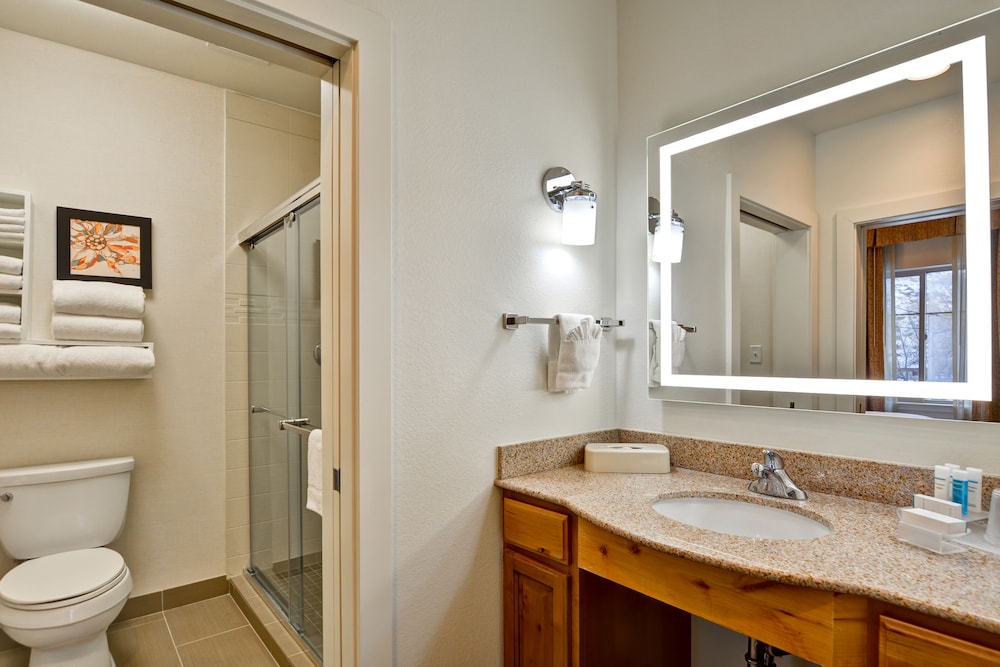 Suite, 1 Bedroom, Fireplace - Photo 6