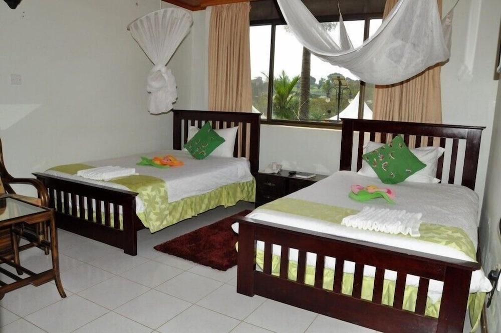 Twin Room photo 1