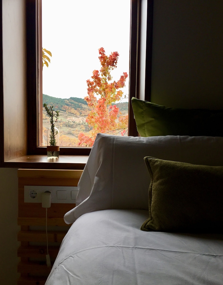 Double Room, Private Bathroom, Mountain View photo 3