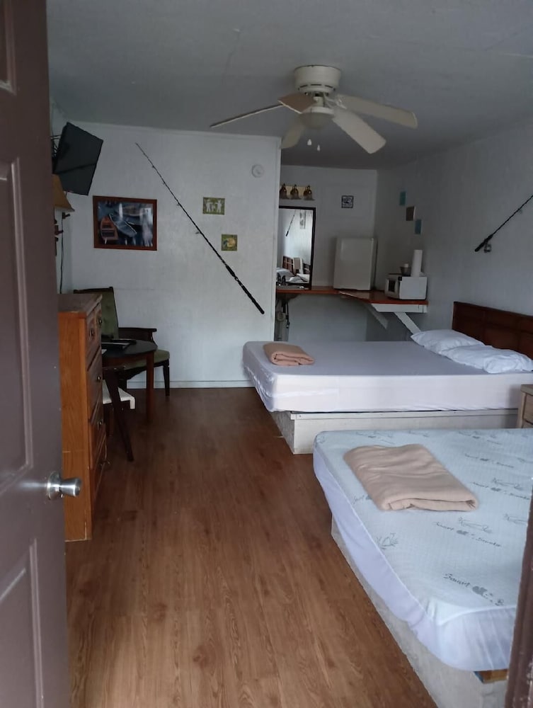 Basic Single Room, Resort View