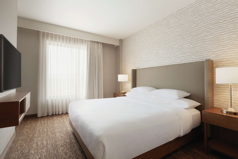 Suite, 1 King Bed, Accessible (Roll-in Shower) photo 2