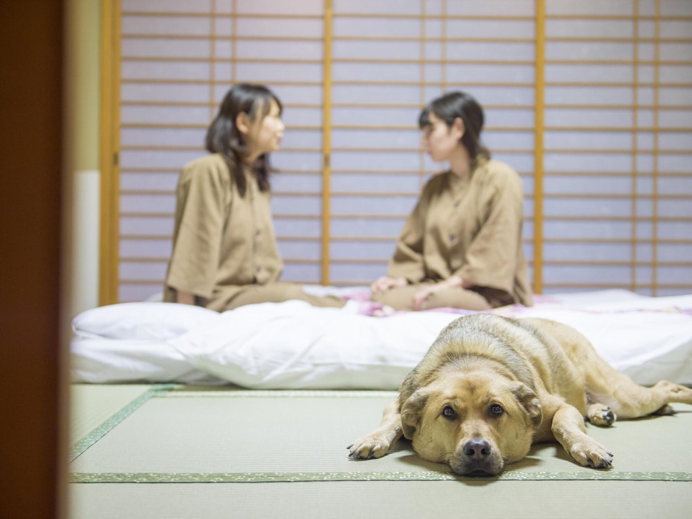 Standard Room, Non Smoking, Mountain View (Japanese-Style Room,42sqm)
