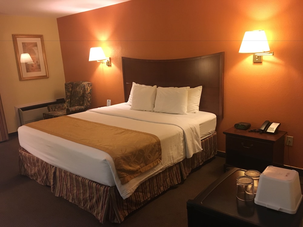 Studio Suite, Multiple Beds, Non Smoking photo 2
