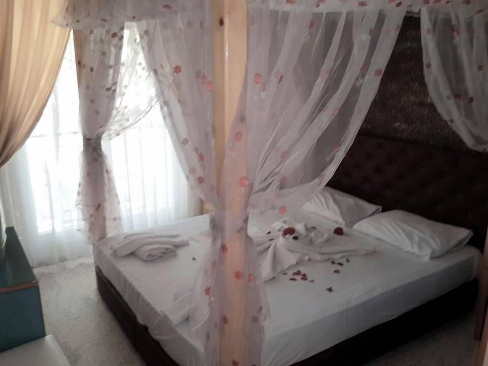 Standard Double or Twin Room photo 1