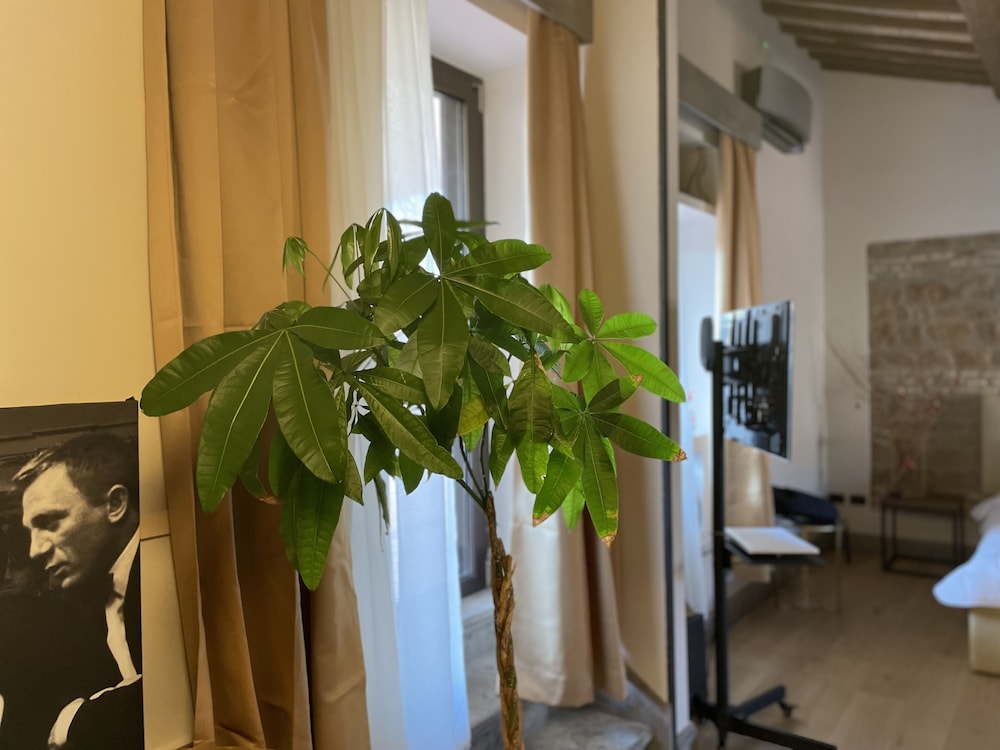 Panoramic Studio Suite, Terrace photo 2