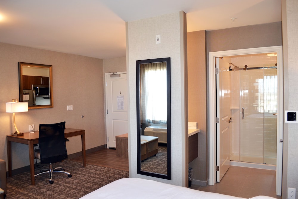 Studio Suite, 1 King Bed, Kitchen photo 1