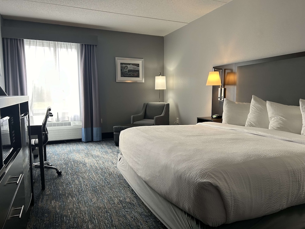 Executive Room, 1 King Bed, Non Smoking, Refrigerator & Microwave (Shower Only) - Photo 1