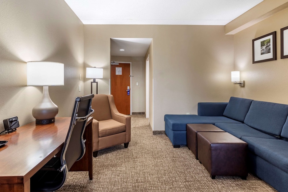 Suite, 1 King Bed with Sofa bed, Accessible, Non Smoking