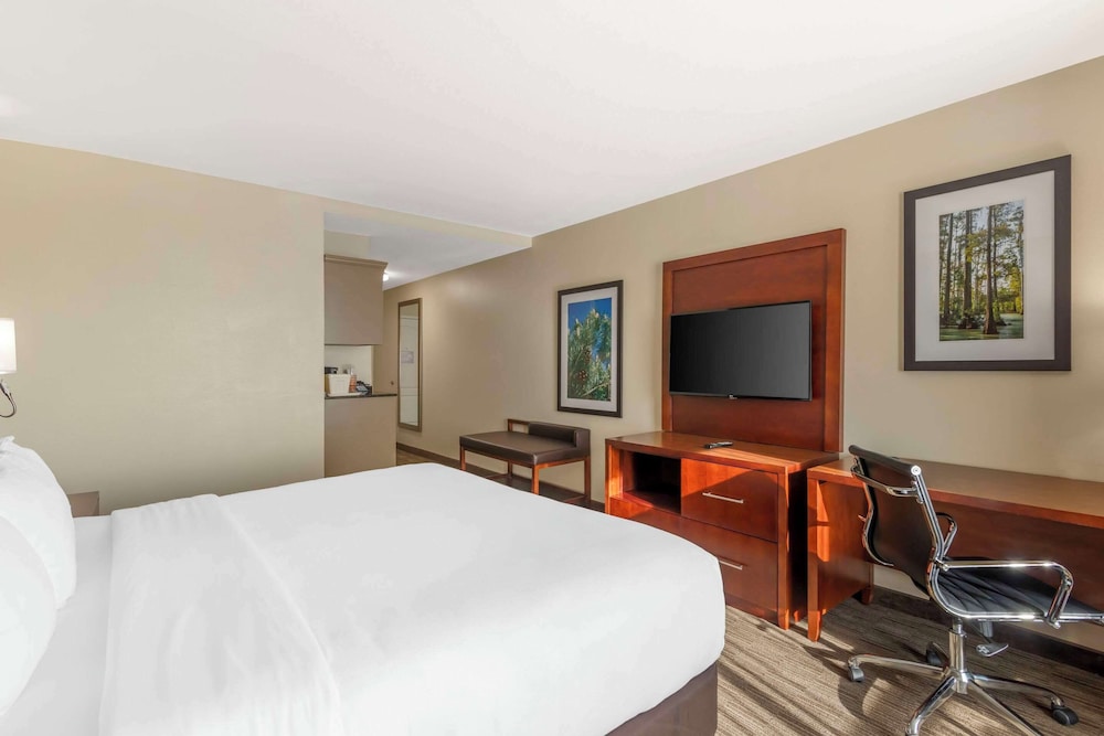 Standard Room, 1 King Bed, Non Smoking - Photo 6