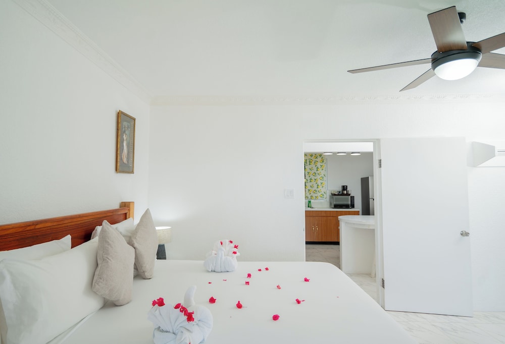Standard Double Room, 1 King Bed, Kitchen, Ocean View photo 3