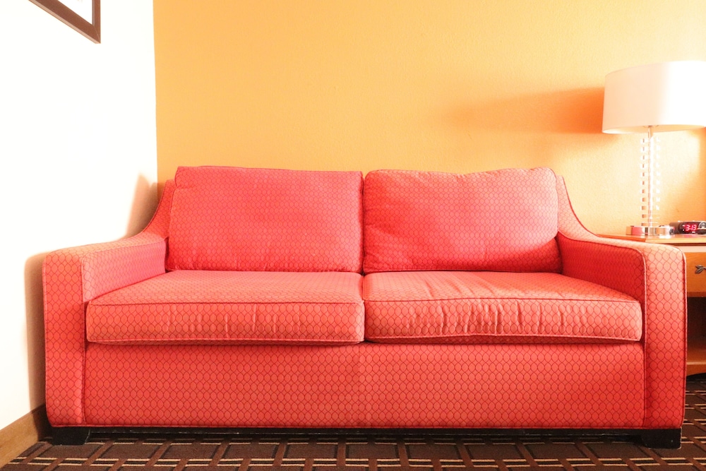 Deluxe Room, 1 King Bed with Sofa bed, Non Smoking, Refrigerator & Microwave - Photo 4