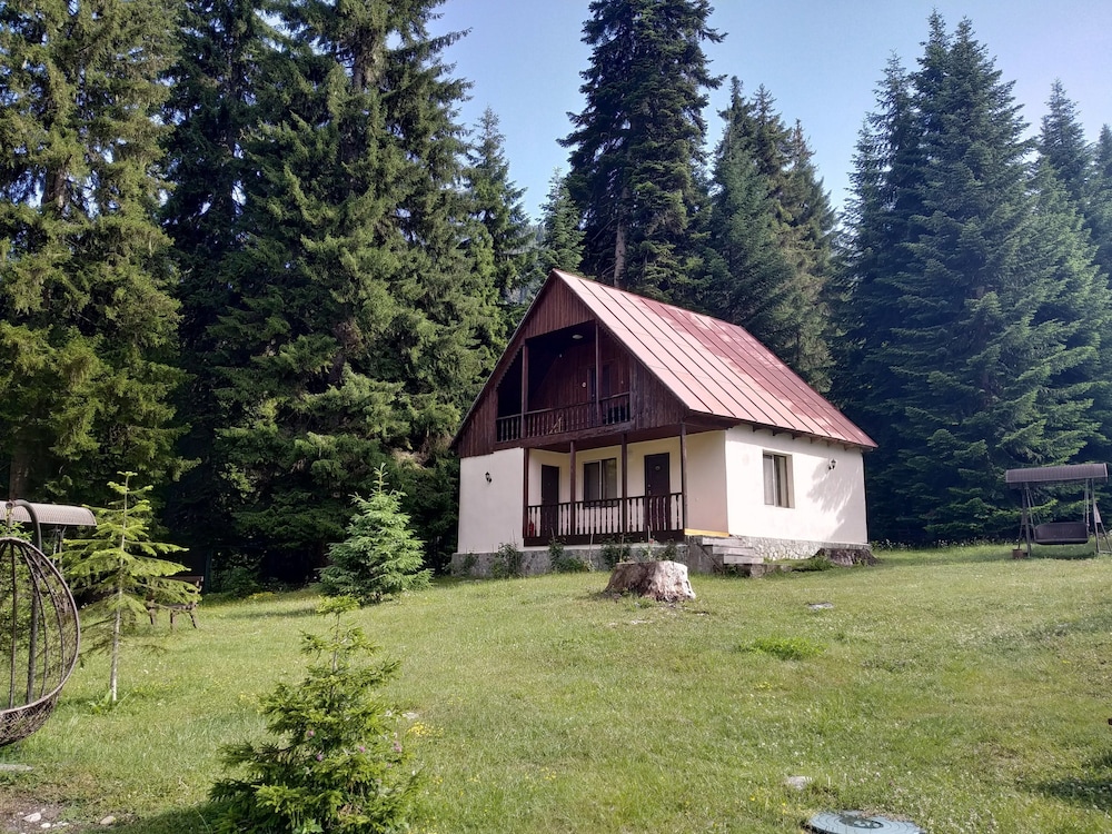 Cottage, Mountain View photo 2