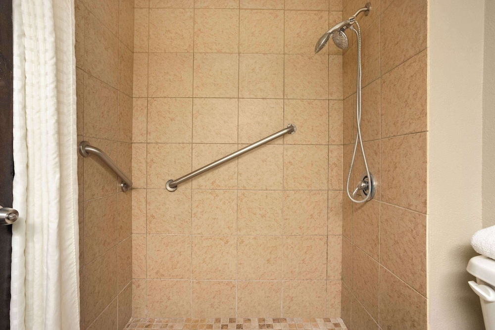 Room, 1 King Bed, Accessible, Non Smoking (Mobility/Hearing, Roll-In Shower) - Photo 5