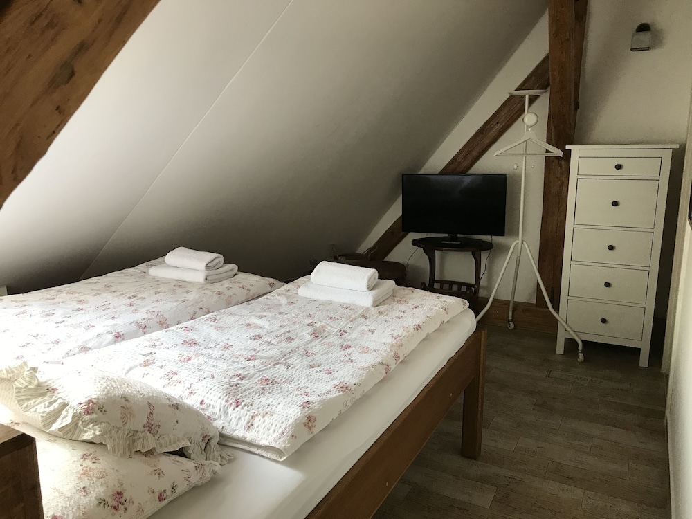 Single Room photo 1
