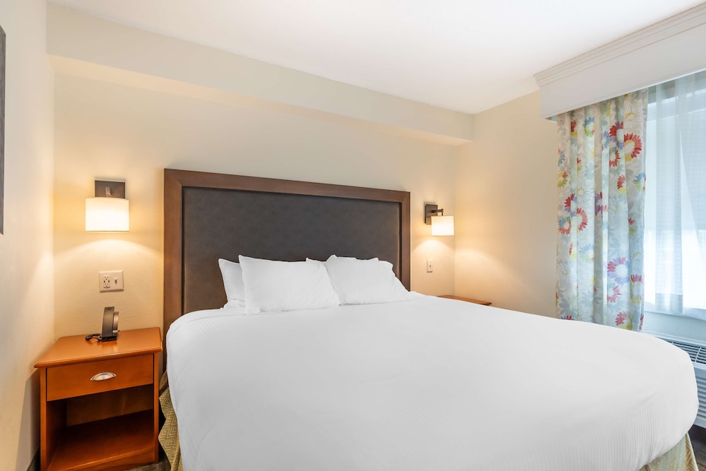 Executive Suite, 1 King Bed, Non Smoking, Refrigerator & Microwave (with Sofabed) - Photo 7