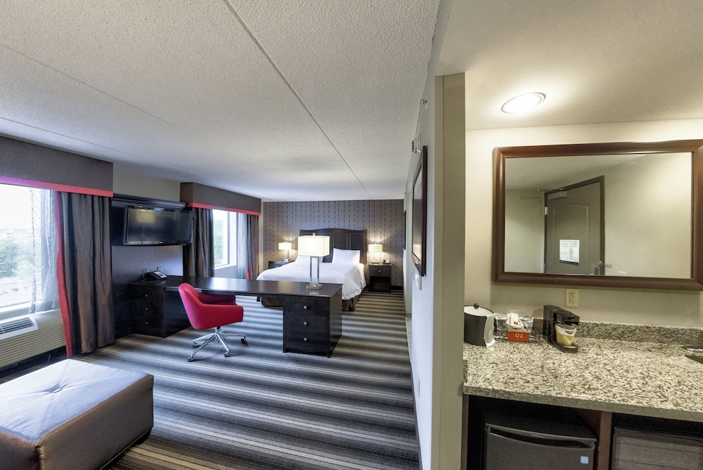 Suite, One King Bed, Non-Smoking photo 1