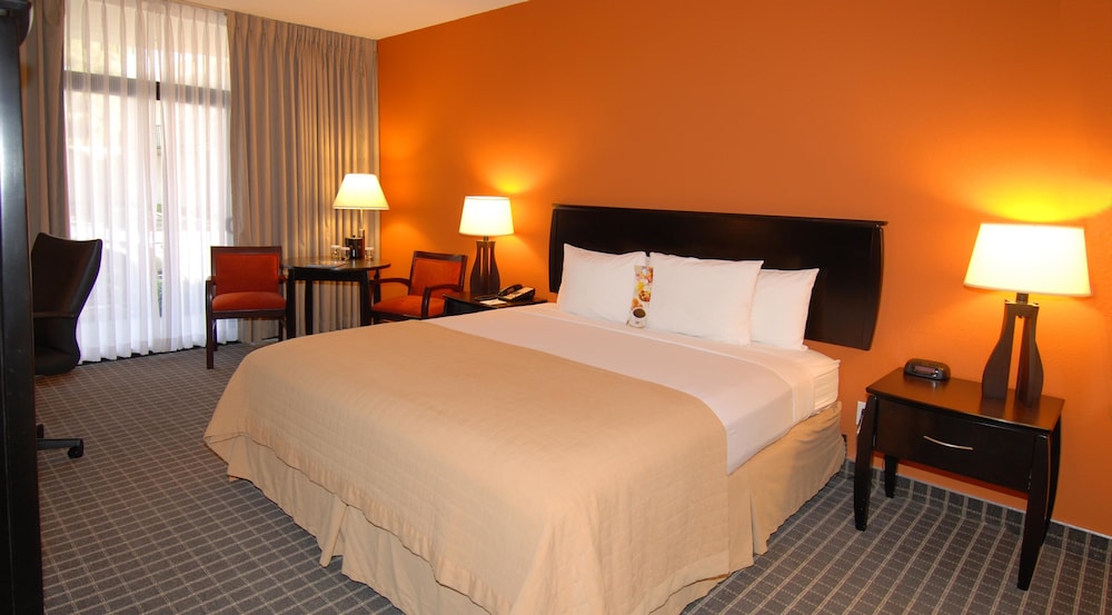 Executive Room, 1 King Bed, Non Smoking - Photo 5