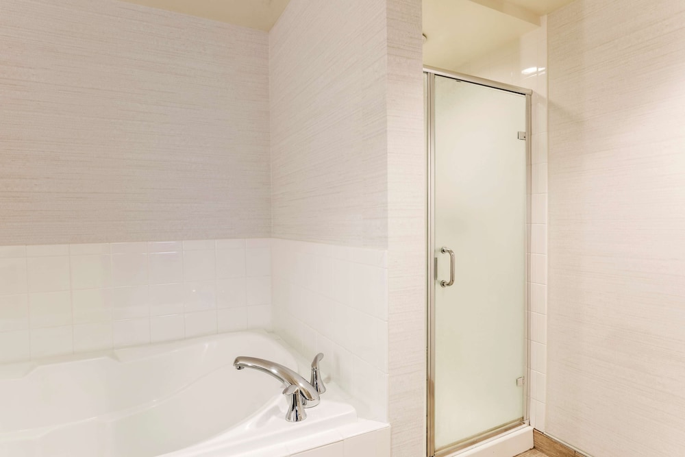 Suite, 1 Bedroom - Photo 5