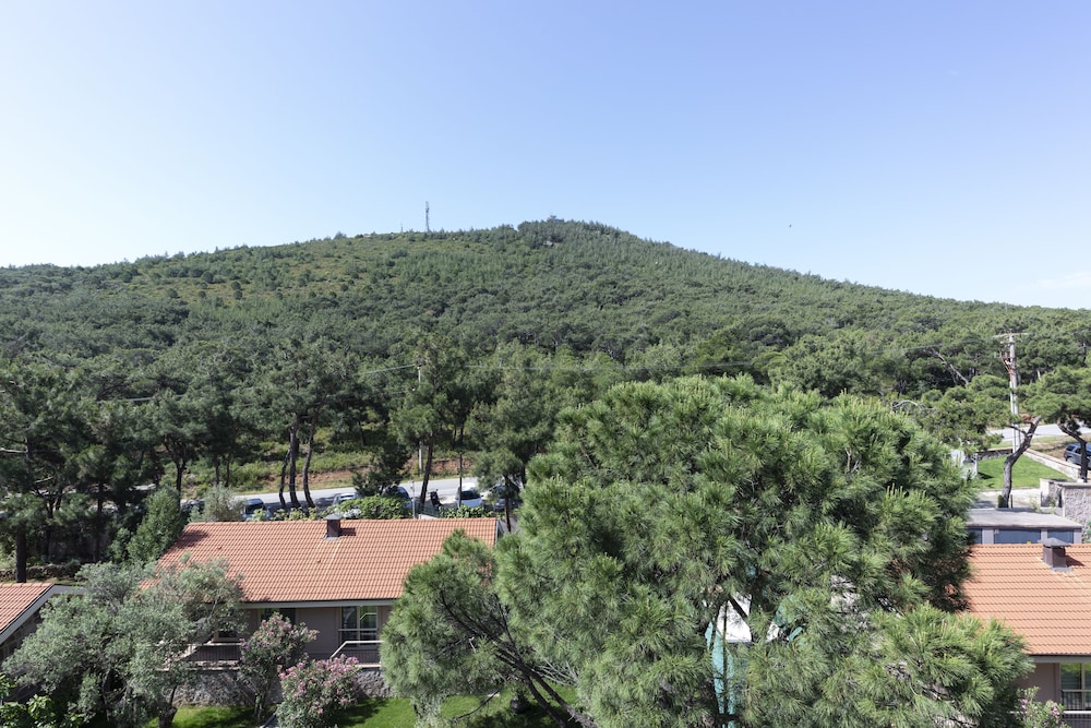 Comfort Single Room, Garden View photo 2