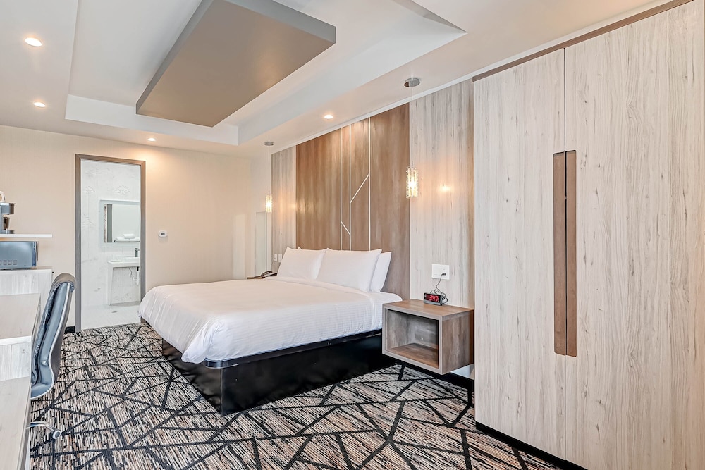 Standard Room, 1 King Bed, Mobility Accessible, Non Smoking