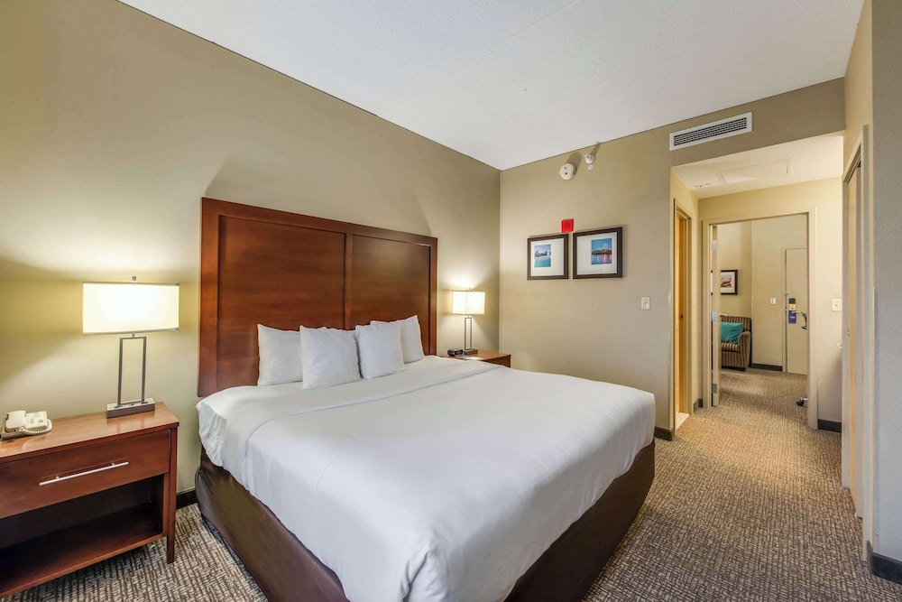 Suite, 1 King Bed with Sofa bed, Non Smoking - Photo 4