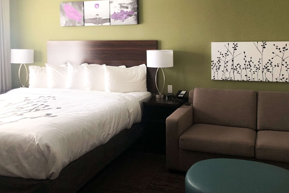 Suite, 1 King Bed with Sofa bed, Non Smoking photo 3