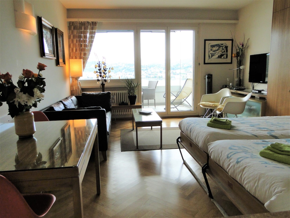 Apartment, 1 Bedroom, Terrace, Mountain View