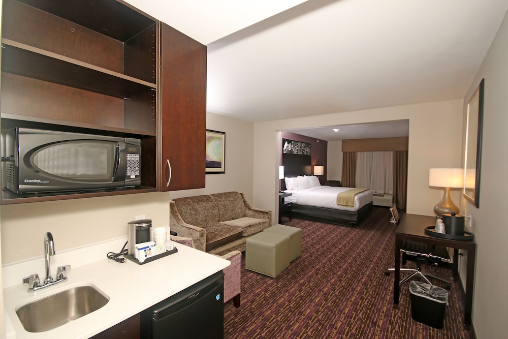 Suite, 1 King Bed with Sofa bed