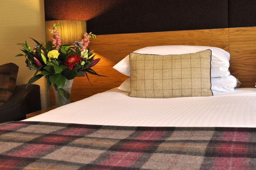 Superior Room photo 3