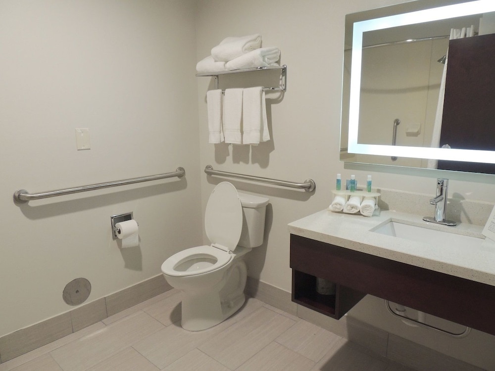 Suite, 1 Bedroom, Accessible (Mobility, Accessible Tub) - Photo 4