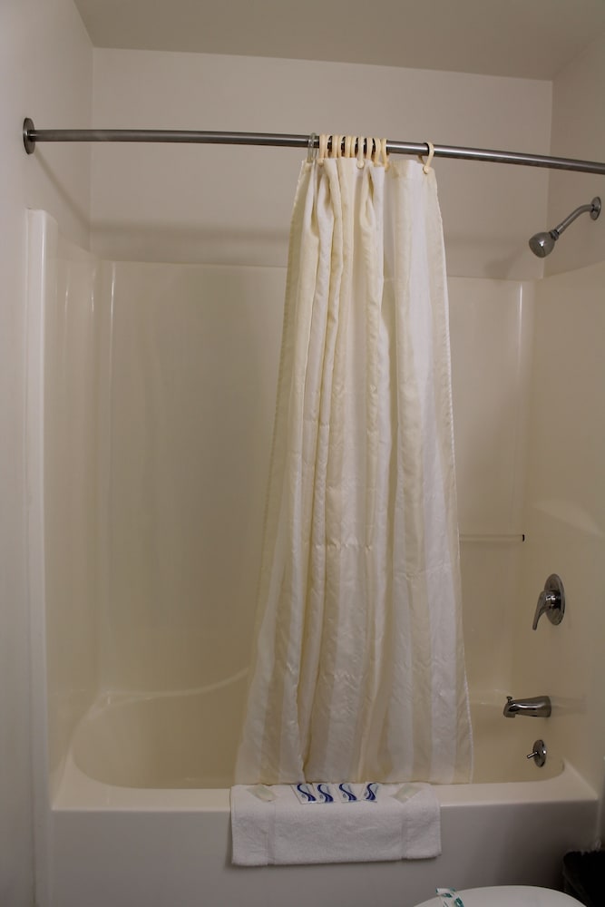 Luxury Single Room photo 2