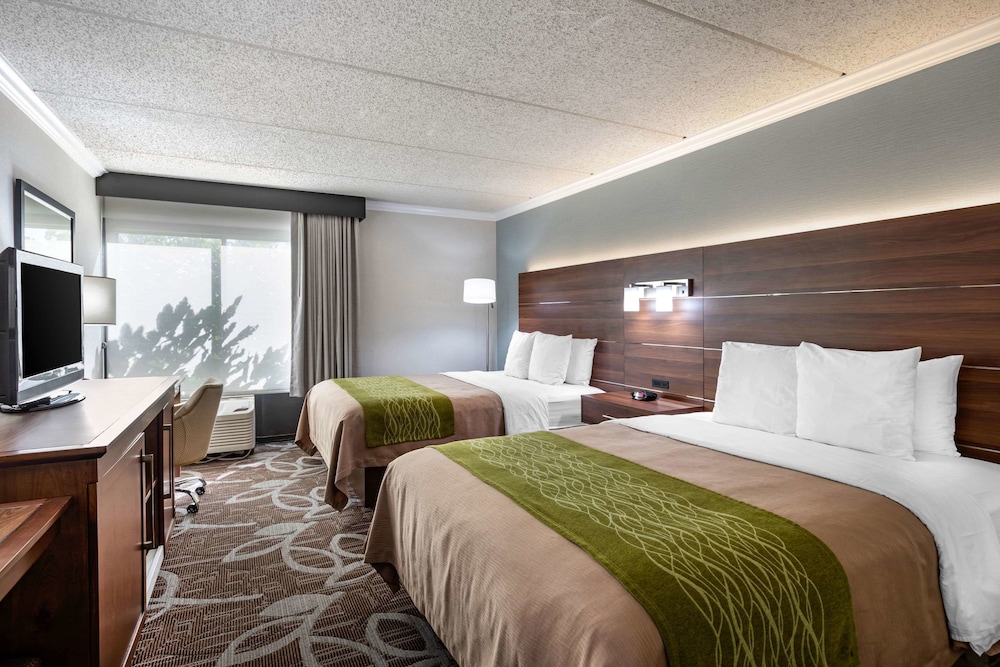 Standard Room, 2 Queen Beds, Top Floors, Non Smoking photo 1