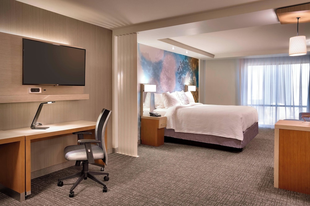 Suite, 1 King Bed with Sofa bed