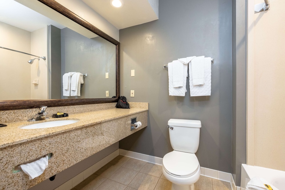 Standard Room, 1 King Bed, Non Smoking, Refrigerator & Microwave (Interior Corridor) - Photo 4