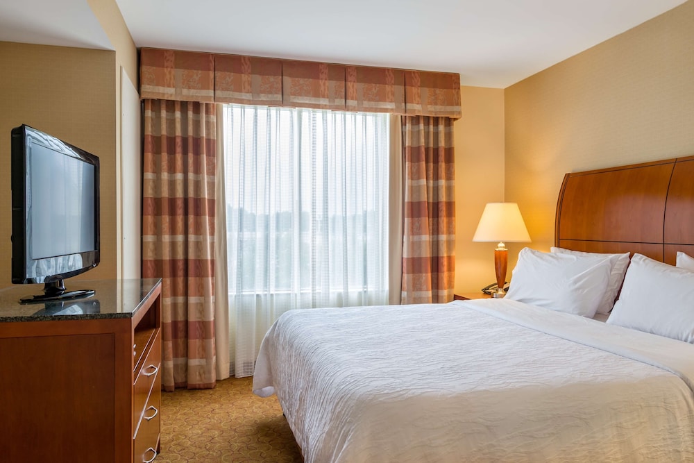 Evolution Junior King Suite - Photo 2