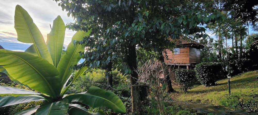 Tree Nest Oruzogo photo 2
