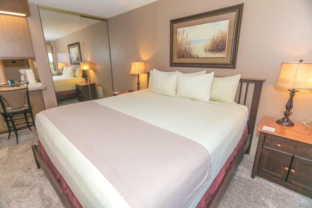 Standard Studio, 1 King Bed, Kitchenette, Pool View (Studio Unit- Room 202-No Pets) - Photo 5
