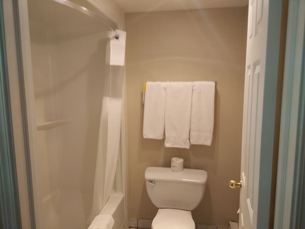 Room, 1 King Bed, Non Smoking (Pet Friendly) - Photo 11