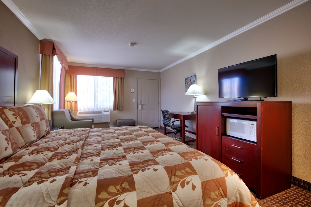 Single Room, 1 King Bed, Ground Floor photo 3