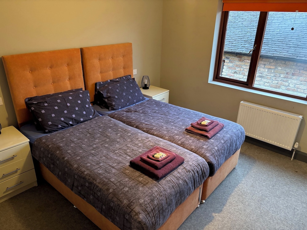 Comfort Suite photo 2