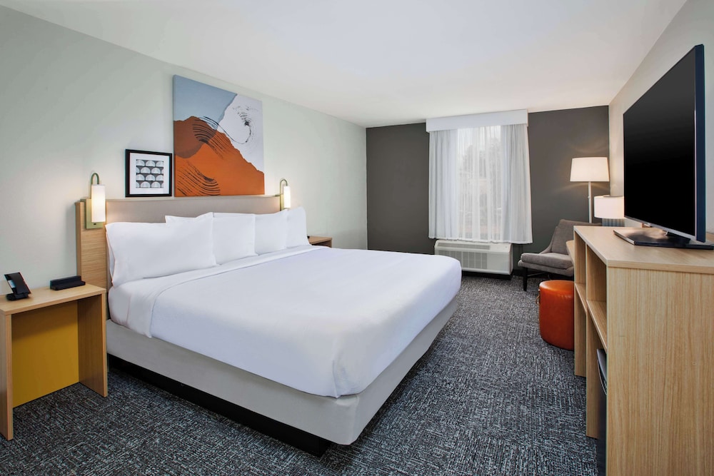 Room, 1 King Bed