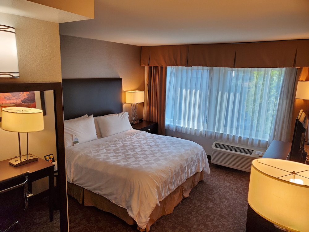 Basic Room, 1 King Bed - Photo 1