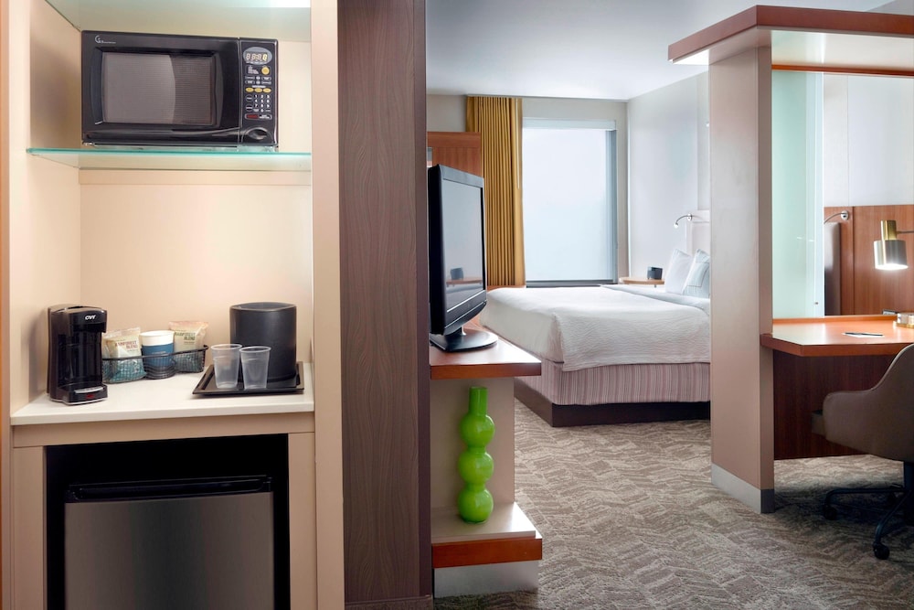 Suite, 1 King Bed with Sofa bed (Mobility/Hearing Access, Roll-In Shwr) - Photo 5