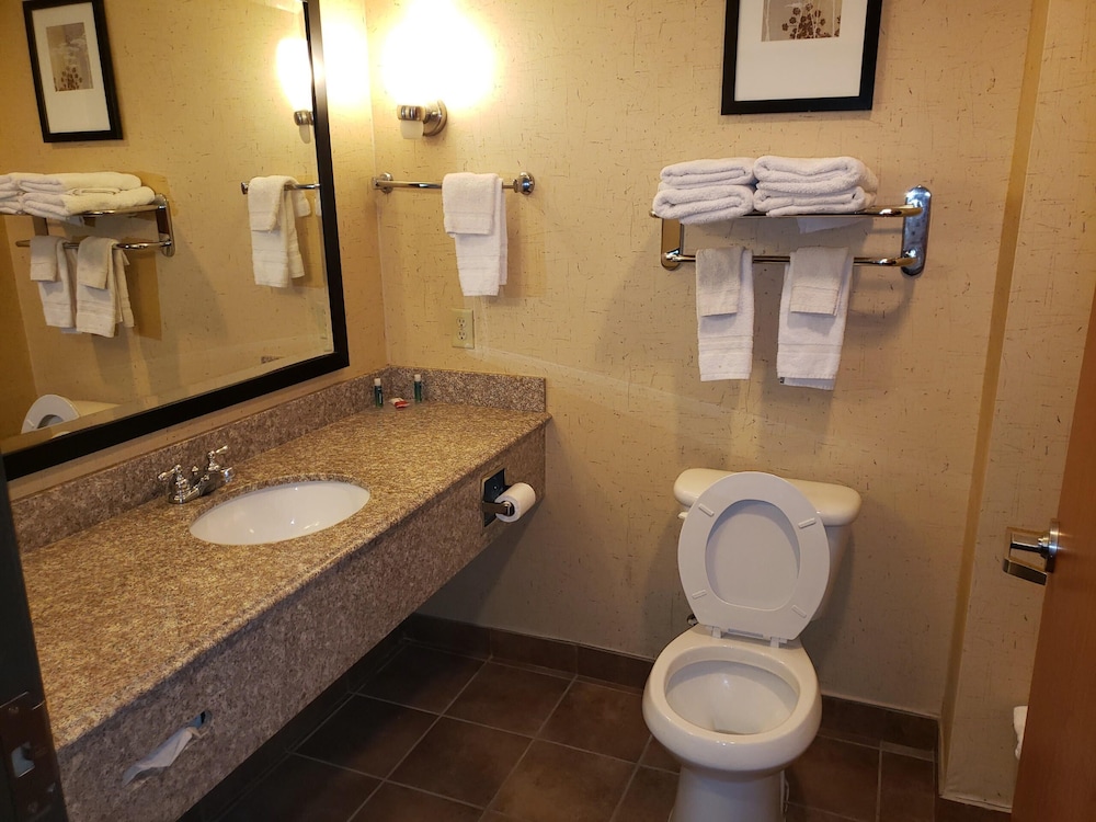 Executive Suite, 1 King Bed With Sofa Bed, Accessible, Non Smoking (1 Person Sofa Bed) photo 3