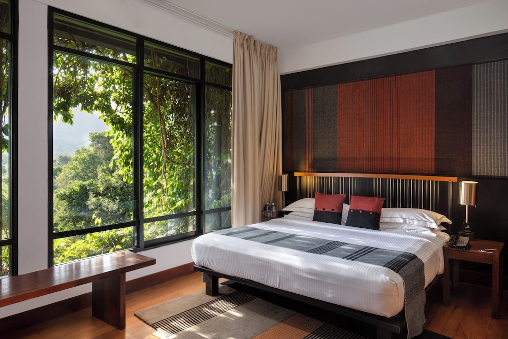 Suite - Photo 1