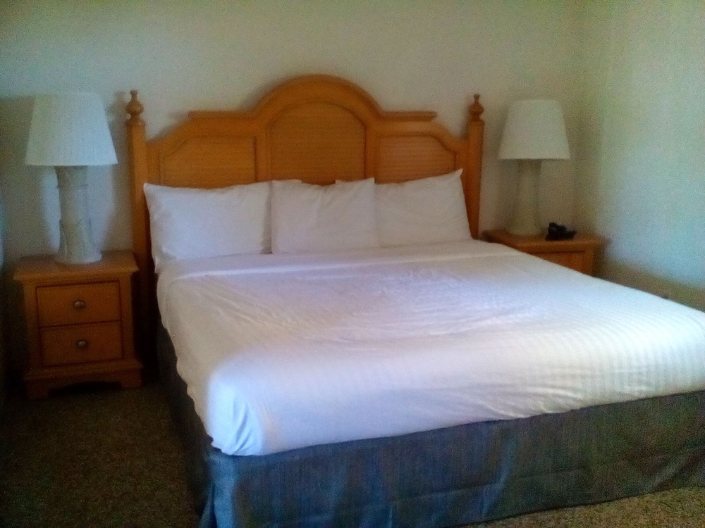 Garden View Apartment - Pet Friendly