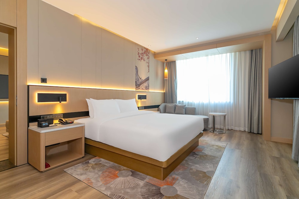 Deluxe Suite, 1 King Bed photo 3